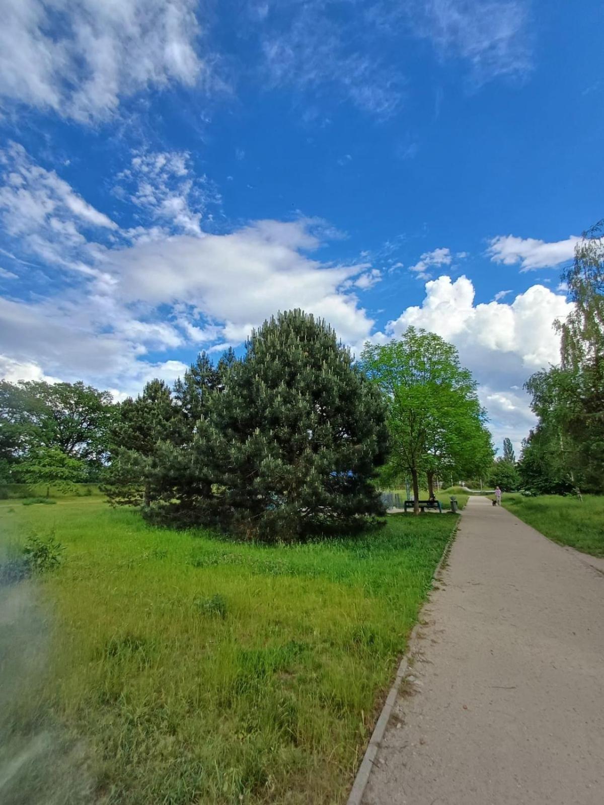Rodzinny Apartament Blisko Hali Stulecia I Zoo Wrocław Eksteriør billede